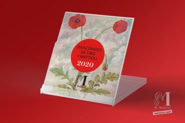 Moleiro Calendar 2020 CD desk calendar (12 pages of 14x12 cm)