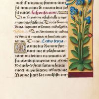 f. 127r, Fleurencelle