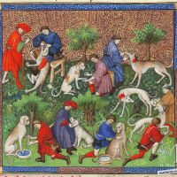 About the sicknesses of hounds and their remedies - f. 40v