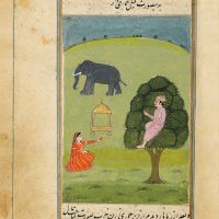 Elefant mit Howdah – f. 19r