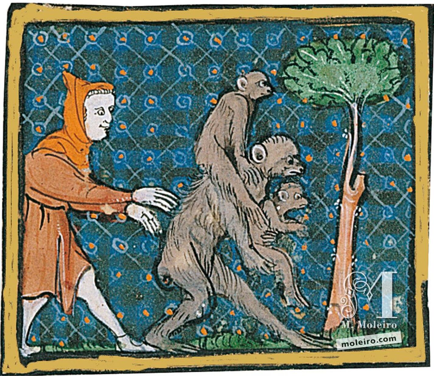 f. 59r, De los monos