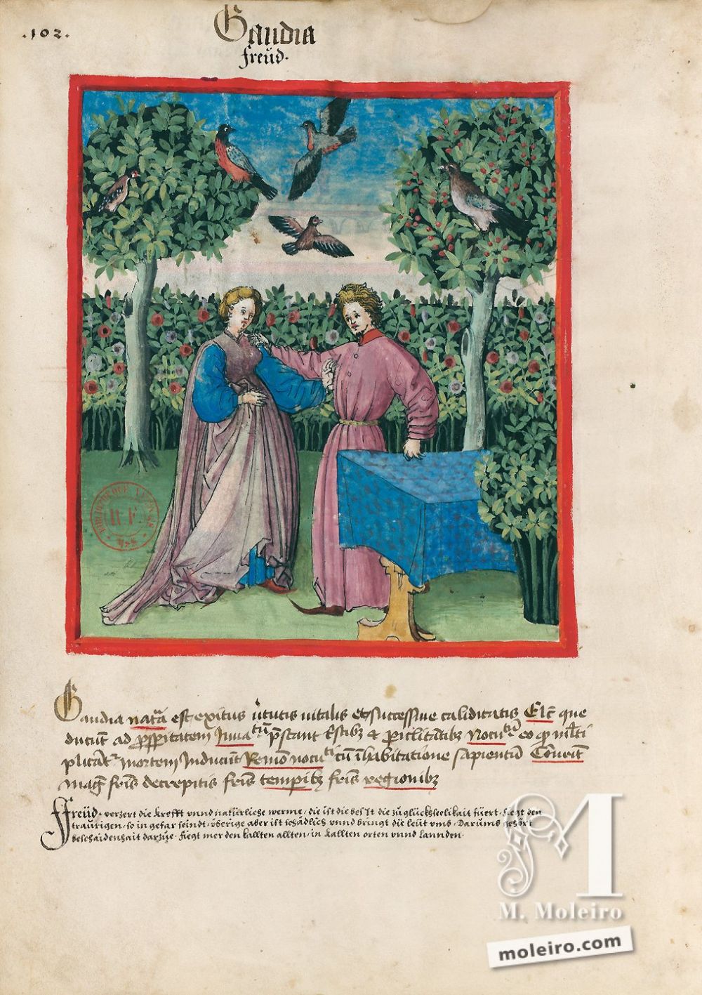 Tacuinum Sanitatis f. 102v, Alegría