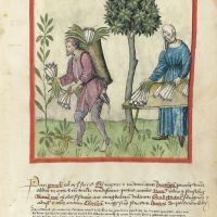 f. 22r, Puerros