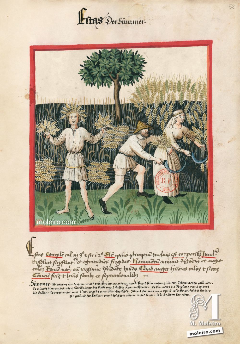 Tacuinum Sanitatis f. 52r, Eté