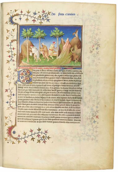 Libro de las maravillas del mundo, Marco Polo - Odorico de Pordenone Bibliothèque nationale de France Libro de las maravillas del mundo, Marco Polo - Odorico de Pordenone Bibliothèque nationale de France