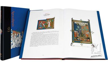 The Apocalypse of 1313 Unveil the radiant illustrations of the Apocalypse 1313