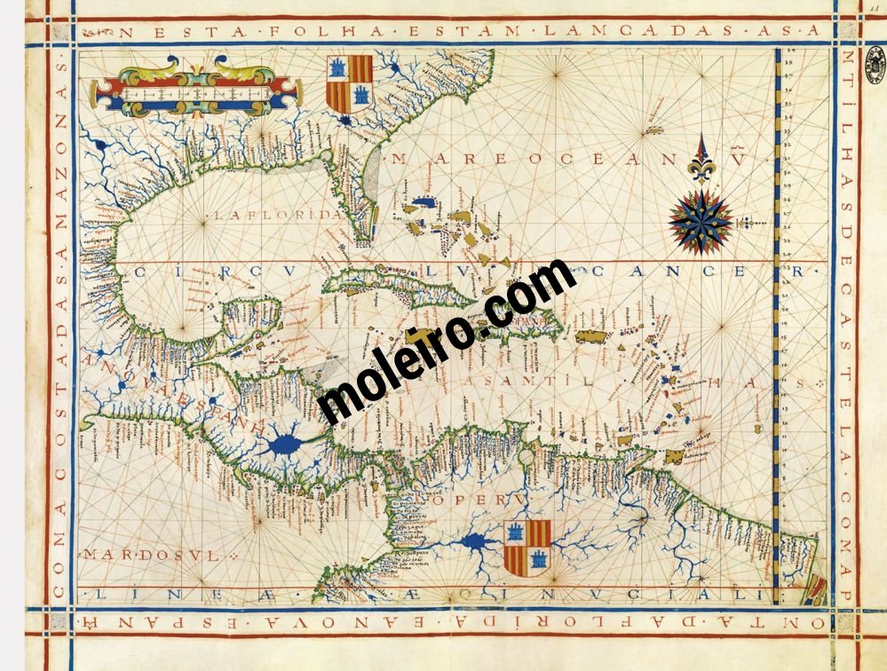 Atlante universale di Fernão Vaz Dourado 