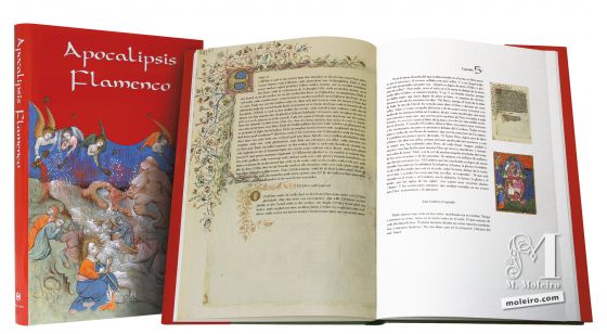 Flemish Apocalypse