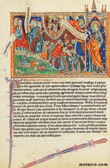Apocalipse Gulbenkian Museu Fundação Calouste Gulbenkian, Lisboa, Apocalipse Gulbenkian Museu Fundação Calouste Gulbenkian, Lisboa,