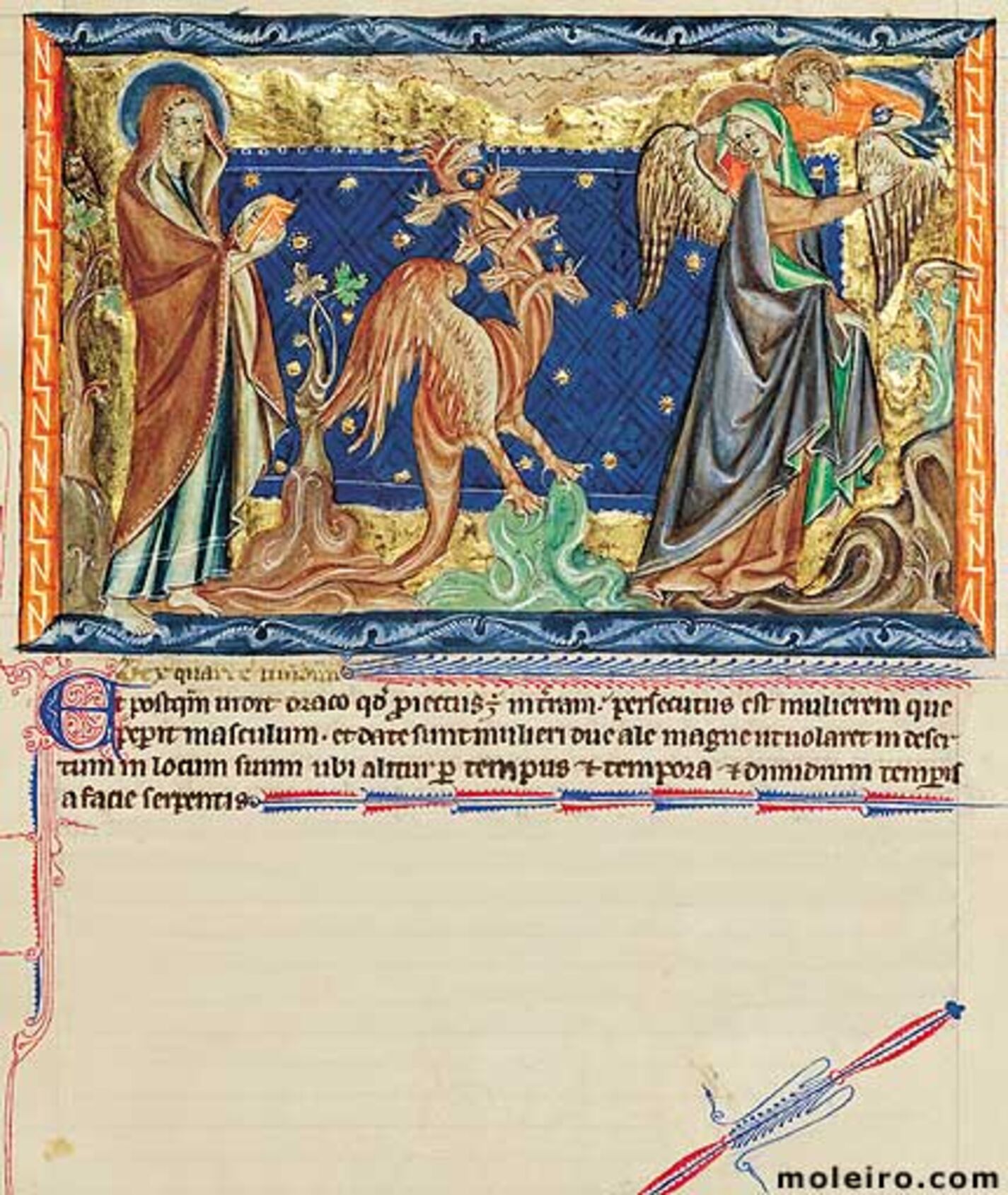 f. 31r, El dragn persigue a la mujer