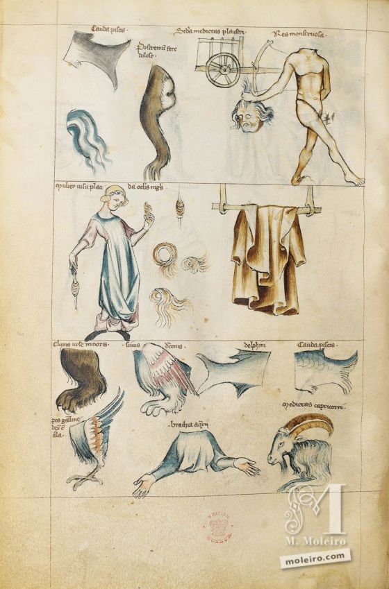 Folio 25v. Trattato di Albumasar (Liber Astrologiae), Ms. Sloane 3983, metà del XV secolo.