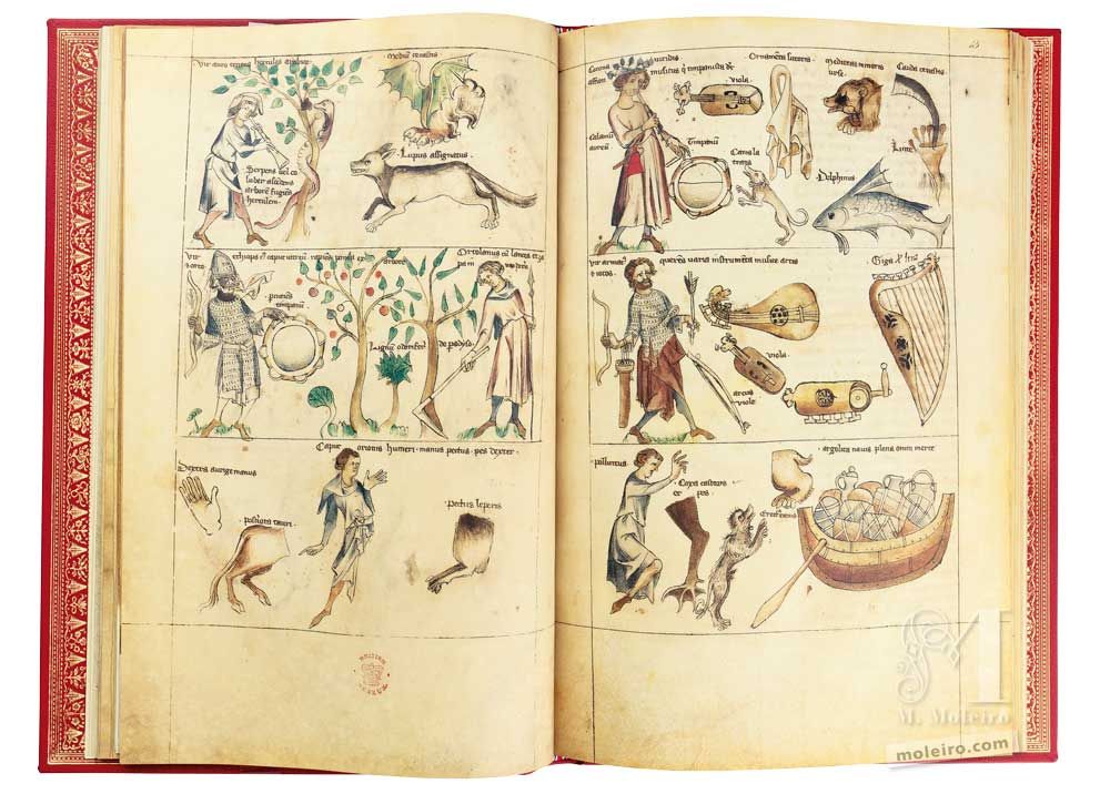 Albumazar Treatise (Liber astrologiae) ff. 12v-13r