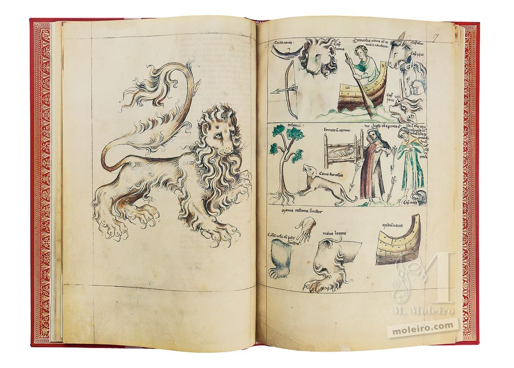 Depiction of Leo in the Albumazar Treatise (Liber astrologiae), ff. 16v-17r