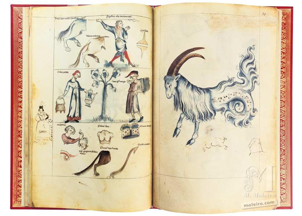 Tratado de Albumasar (Liber astrologiae) ff. 23v-24r