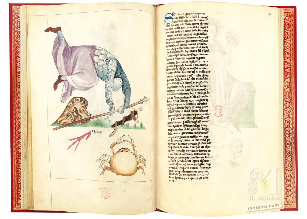 Tratado de Albumasar (Liber astrologiae) ff. 38v-39r