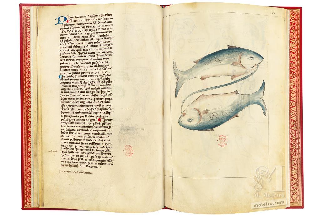 Traktat von Albumasar (Liber astrologiae) Fische, FF. 28v-29r