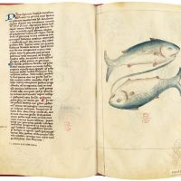 Poissons, ff. 28v-29r