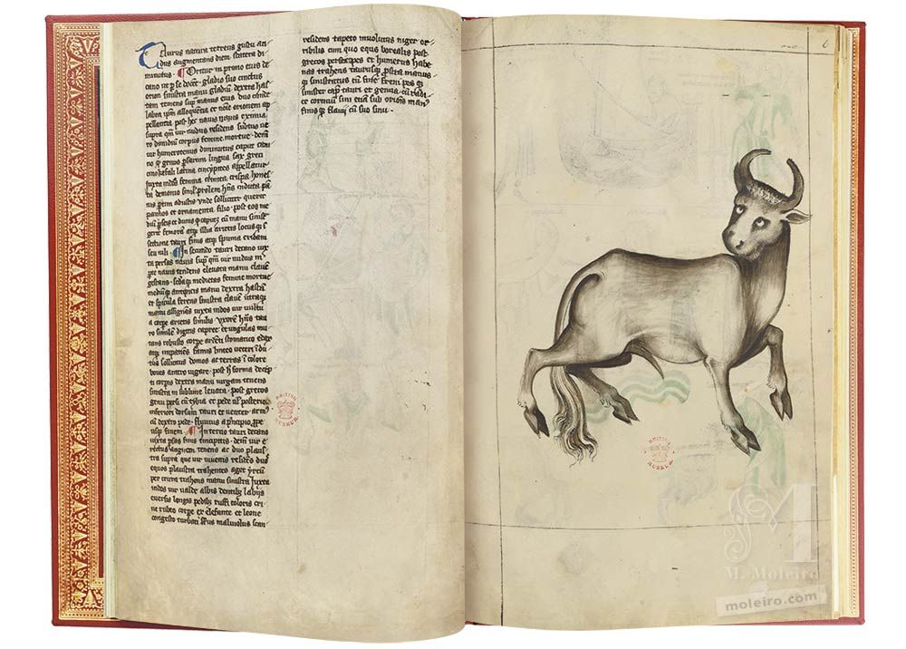 Albumazar Treatise (Liber astrologiae) Taurus, ff. 5v-6r