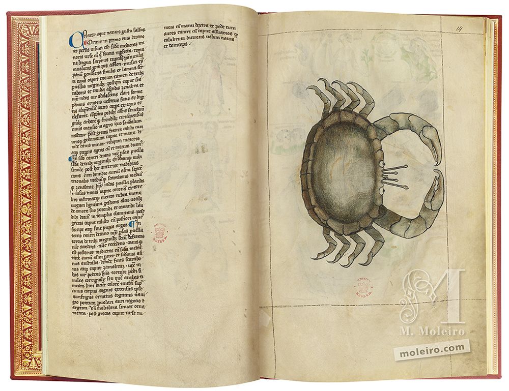 Depiction of the sign of Cancer in the Albumazar Treatise (14th c., currently kept at The British Library)