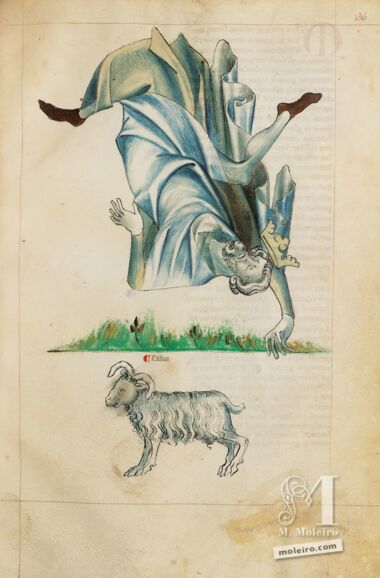 Tratado de Albumasar (Liber astrologiae) The British Library, Londres Tratado de Albumasar (Liber astrologiae) The British Library, Londres
