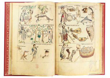 Tratado de Albumasar (Liber astrologiae) The British Library, Londres Tratado de Albumasar (Liber astrologiae) The British Library, Londres