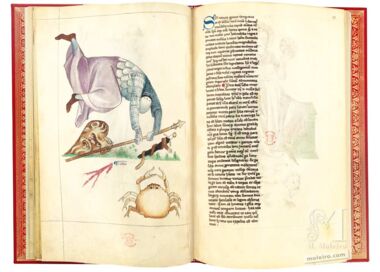 Tratado de Albumasar (Liber astrologiae) The British Library, Londres Tratado de Albumasar (Liber astrologiae) The British Library, Londres