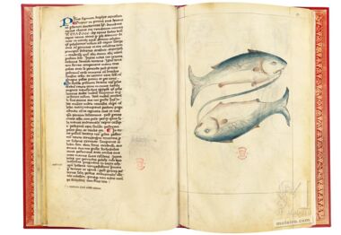 Tratado de Albumasar (Liber astrologiae) The British Library, Londres Tratado de Albumasar (Liber astrologiae) The British Library, Londres
