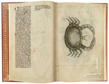 Tratado de Albumasar (Liber astrologiae) The British Library, Londres Tratado de Albumasar (Liber astrologiae) The British Library, Londres