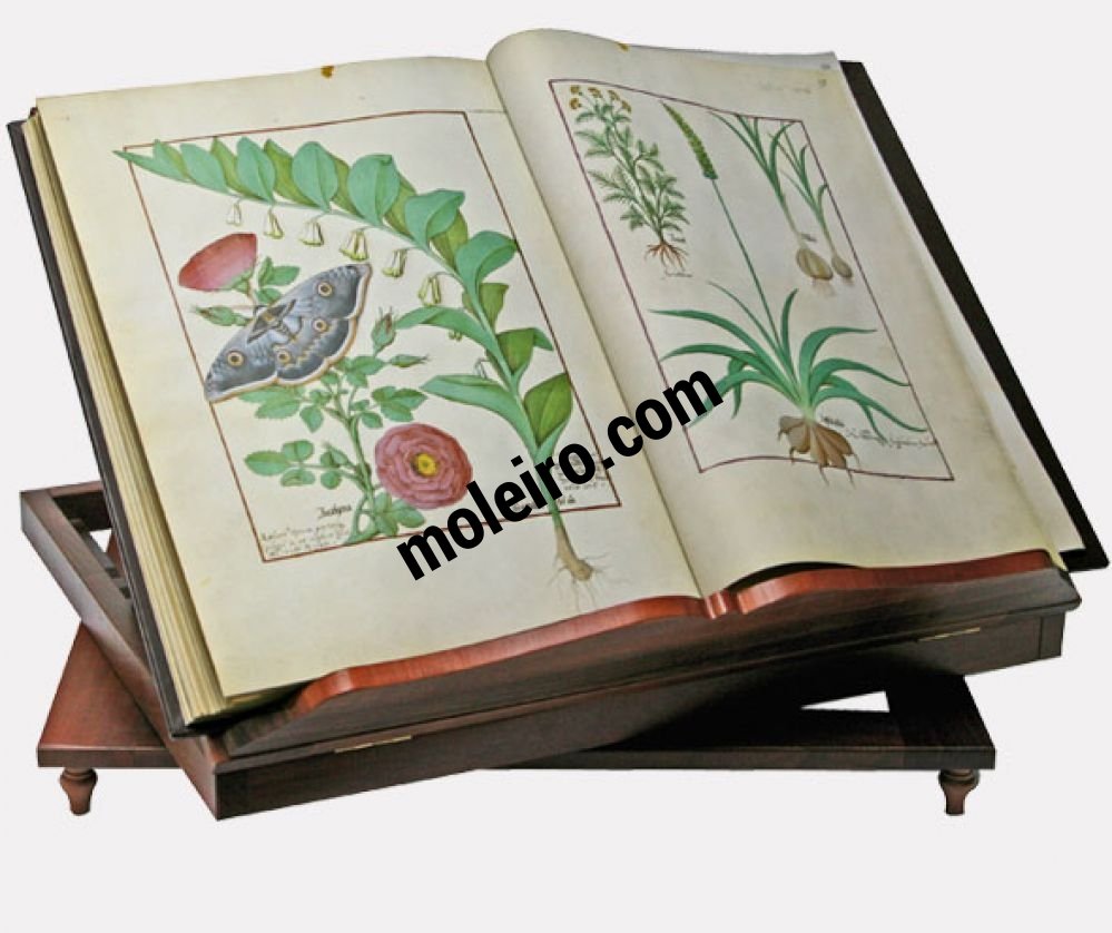 Atril de madeira, giratório Atril com o Livro dos Medicamentos Simples