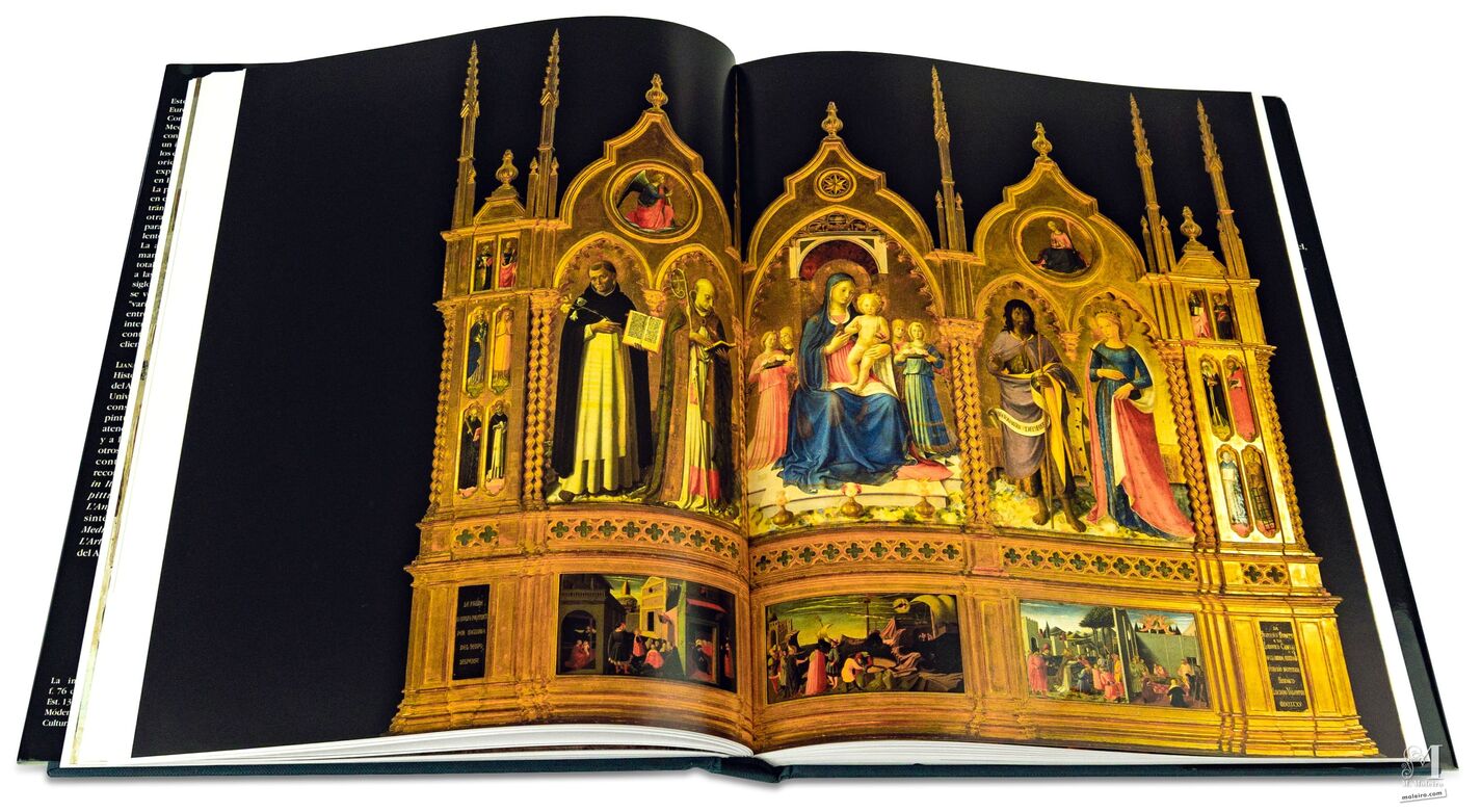 El Arte en el Renacimiento Libro de arte