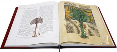 Beato de Liébana, códice del Monasterio Cisterciense de San Andrés de Arroyo, Palencia (Monografía)