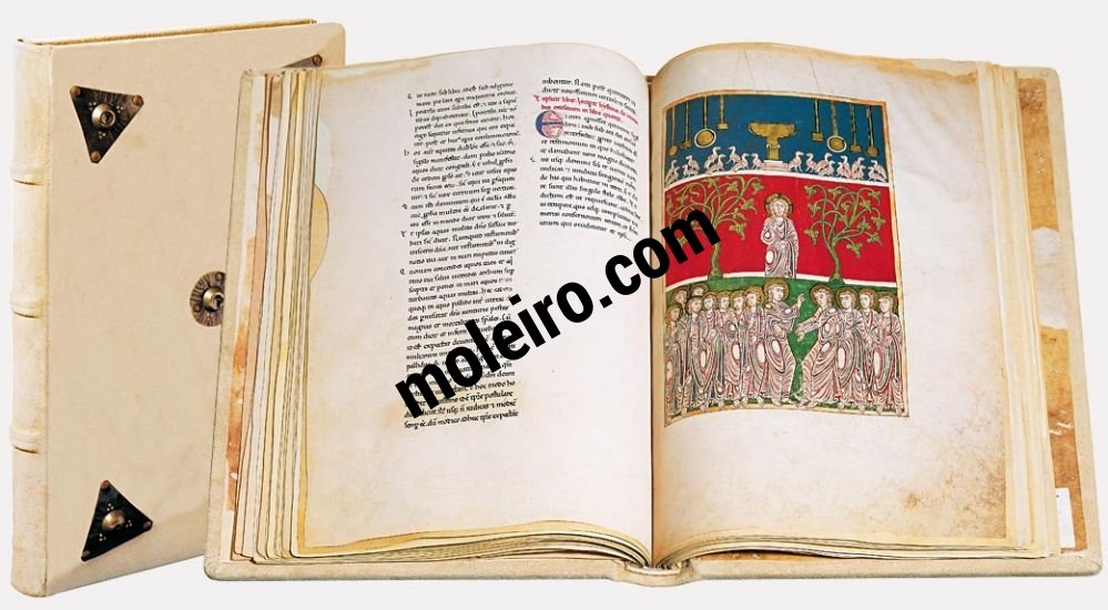 Beato de Liébana, códice del Monasterio de San Pedro de Cardeña, Burgos
Museo Arqueológico Nacional, Madrid, Metropolitan Museum of Art, Nueva York. Fecha: realizado entre 1175 y 1185, en el importante scriptorium del Monasterio de San Pedro de Cardeña.