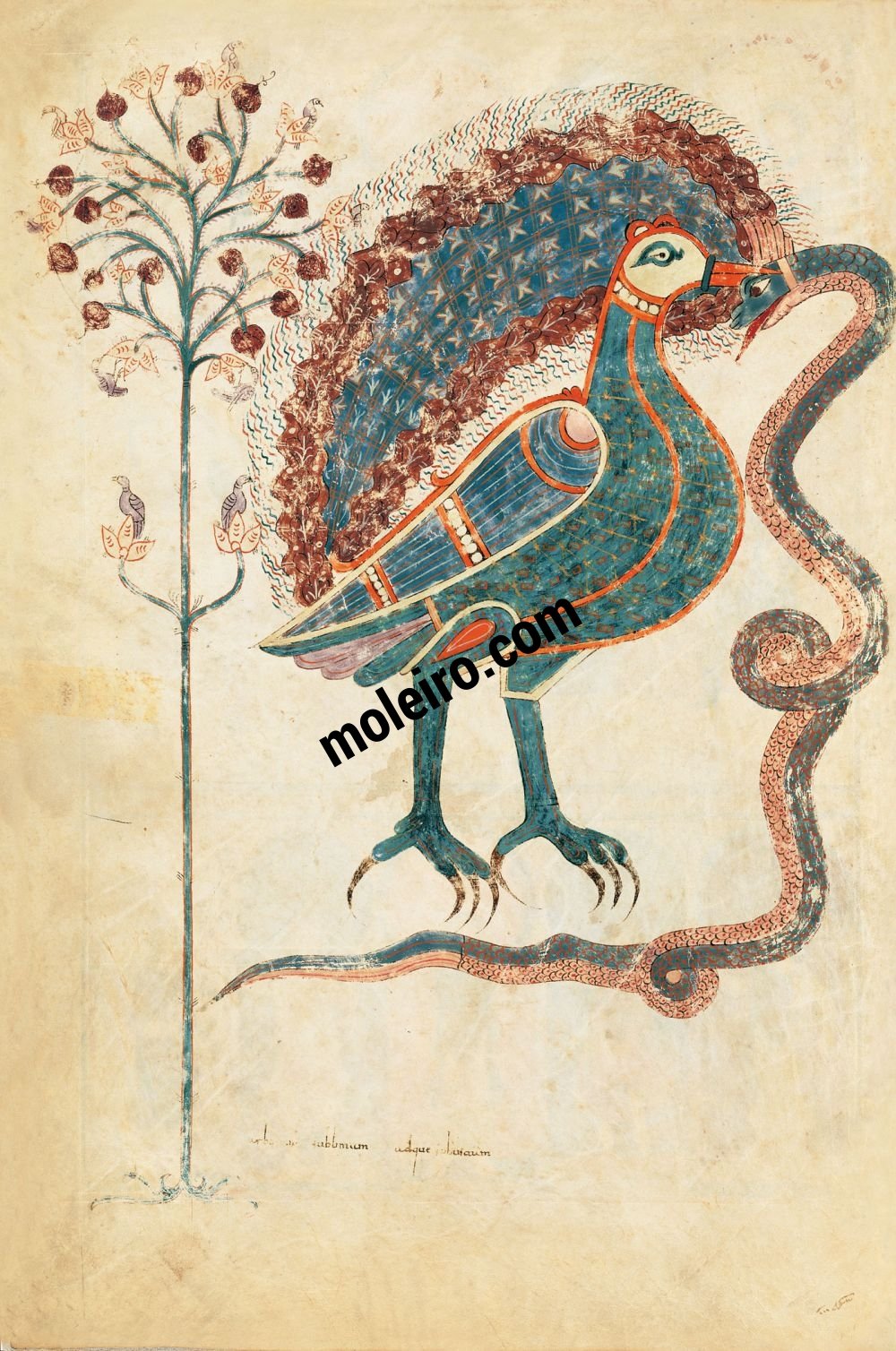 Girona Beatus f. 18v, Allegorical conclusion of the Christological cycle: The bird and the snake