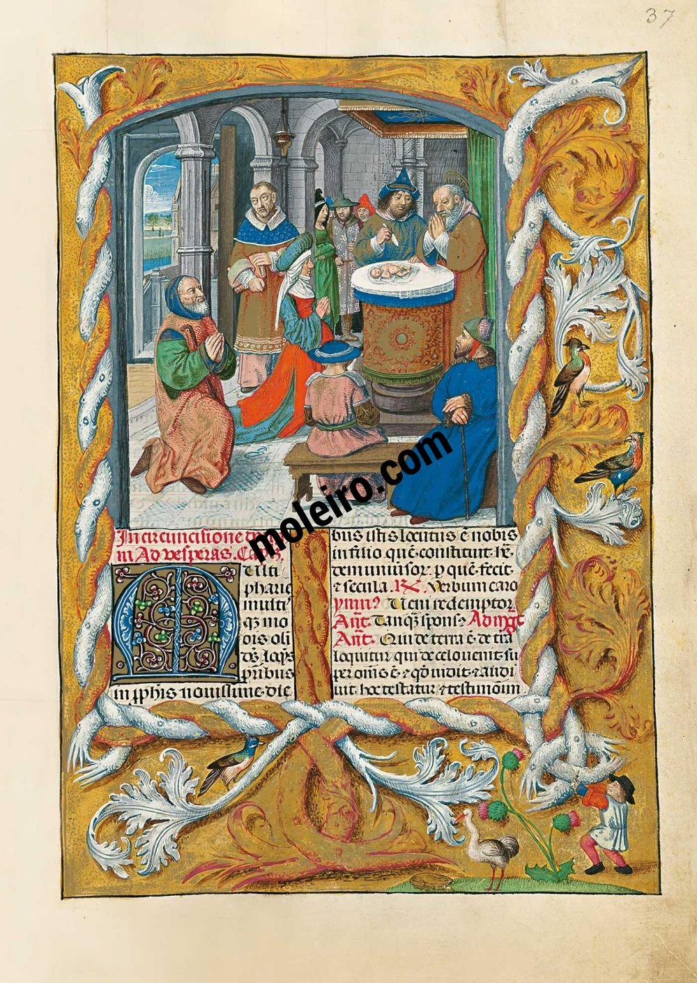 Brevier von Isabella der Katholischen f. 37r, Fest der Beschneidung Christi