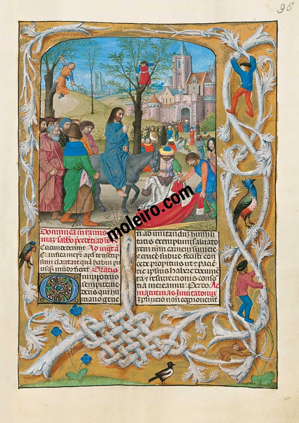 F 96r Der Einzug Jesu In Jerusalem