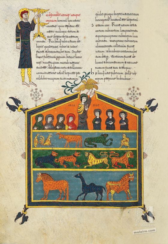 Beato di Silos L'Arca di Noè, c. 79v