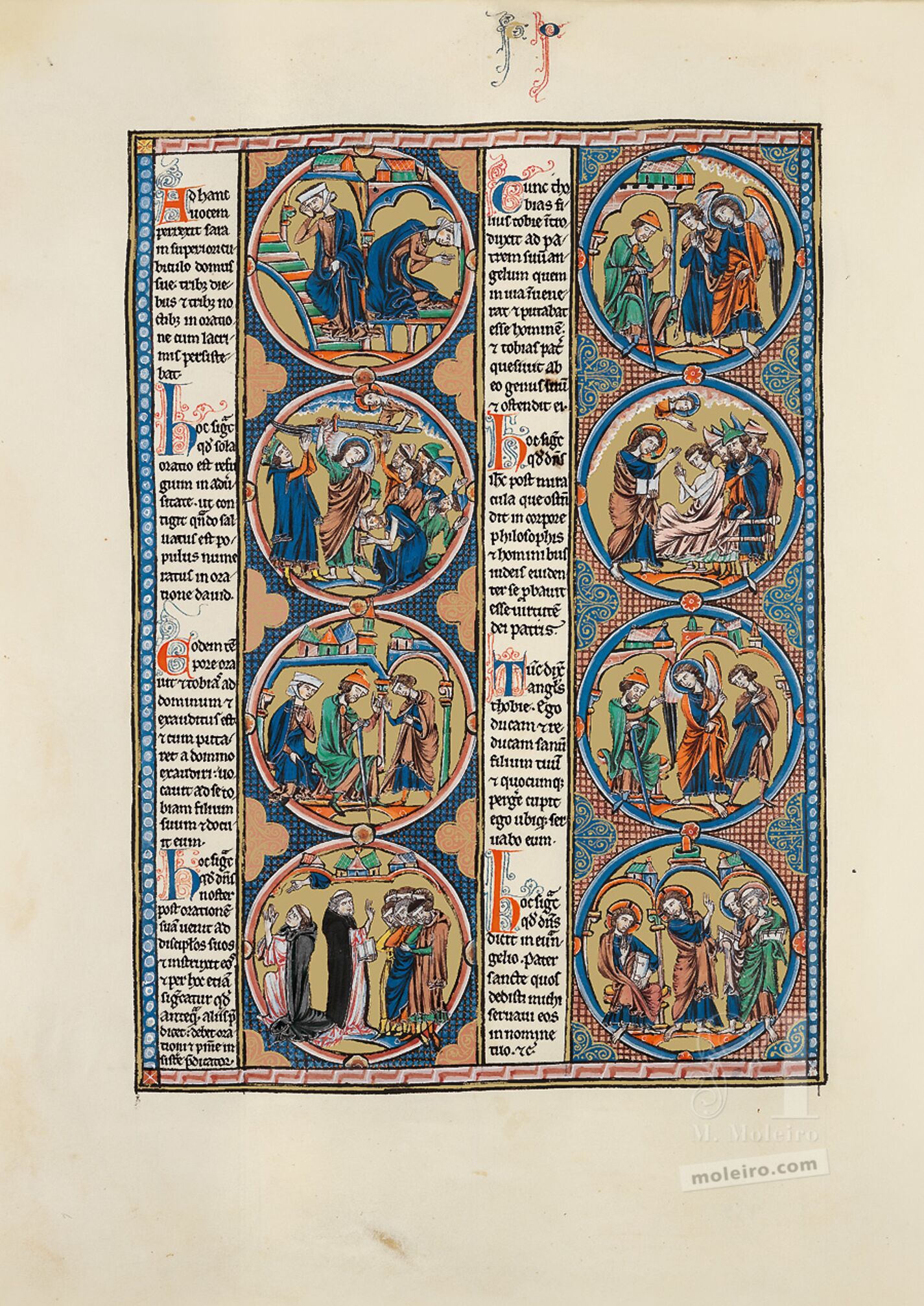 Lámina del libro de Tobías de la Biblia de San Luis (vol. 1, f. 159v)