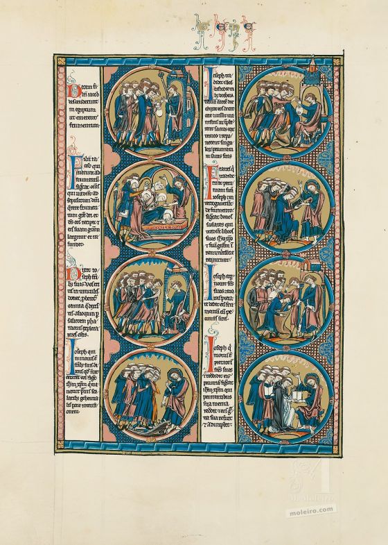 Folder of 2 prints from The Bible of St Louis: Genesis 