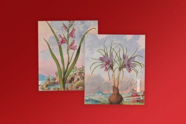 Calendario Moleiro 2020 Calendario de mesa formato CD (12 páginas 14x12 cm)