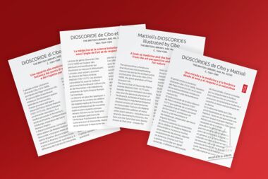 Calendario Moleiro 2020 Calendario de mesa formato CD (12 páginas 14x12 cm)