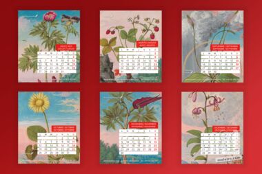 Calendario Moleiro 2020 Calendario de mesa formato CD (12 páginas 14x12 cm)