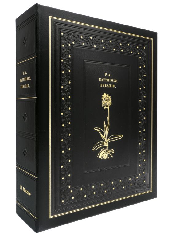 Protective leather case of Mattioli´s Dioscorides illustrated by Cibo. It is made of black leather and decorated with gold.