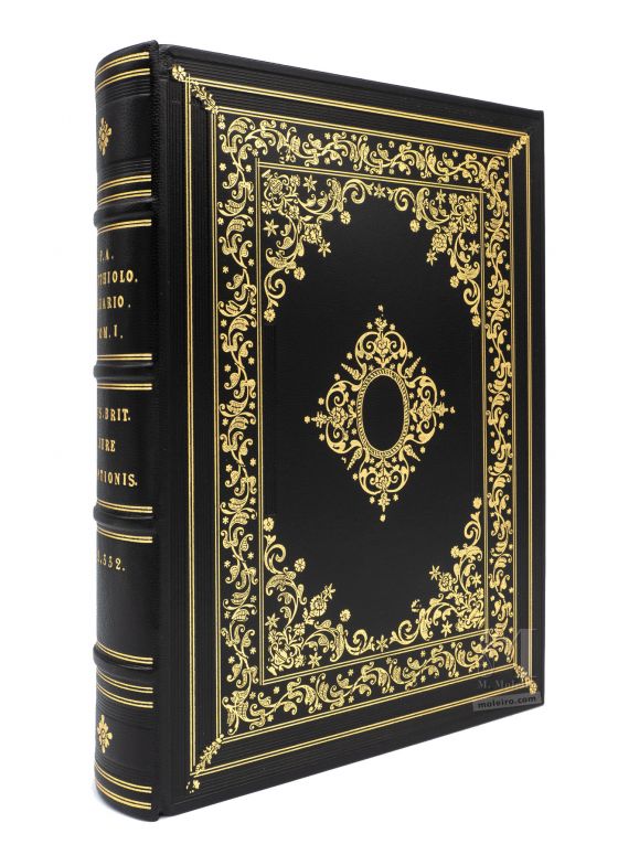 Binding of Mattioli´s Dioscorides illustrated by Cibo. Binding in black leather, decorated with gold motifs.
