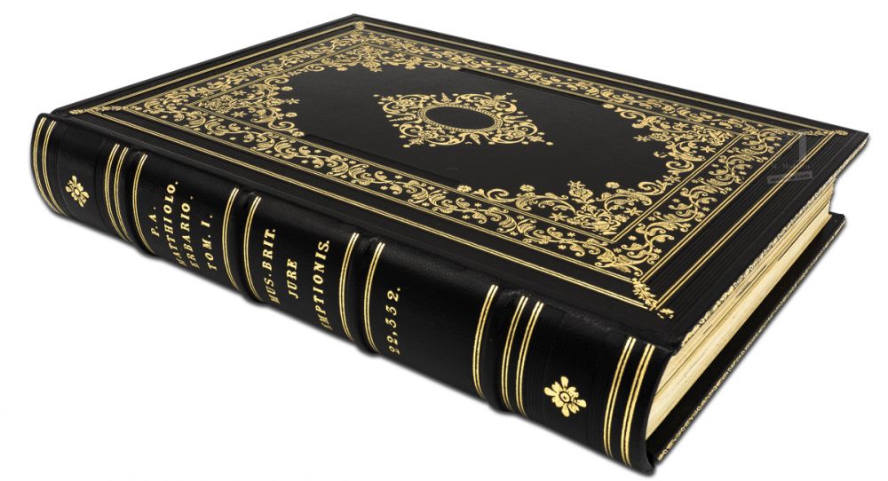 Detail of the cover and spine of Mattioli’s Dioscorides illustrated by Cibo. Elegant black leather with gold motifs.