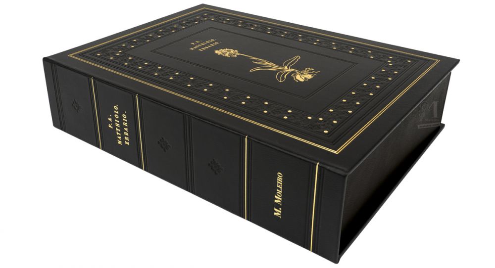View of the protective case of Mattiolis Dioscorides illustrated by Cibo, made in black leather and stamped with gold. 
