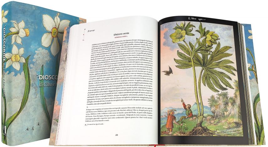 Dioscoride di Cibo e Mattioli The British Library, Londra