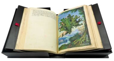 Dioscoride di Cibo e Mattioli The British Library, Londra Dioscoride di Cibo e Mattioli The British Library, Londra