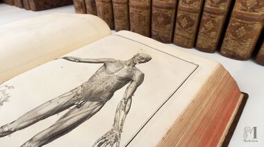 Enciclopédia de Diderot e d'Alembert A obra-prima do Século das Luzes Enciclopédia de Diderot e d'Alembert A obra-prima do Século das Luzes