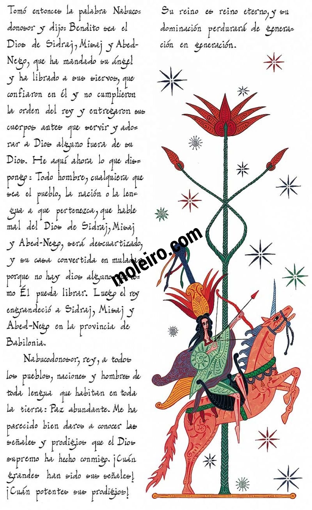 Libro de Daniel – Luxusedition (rot) 