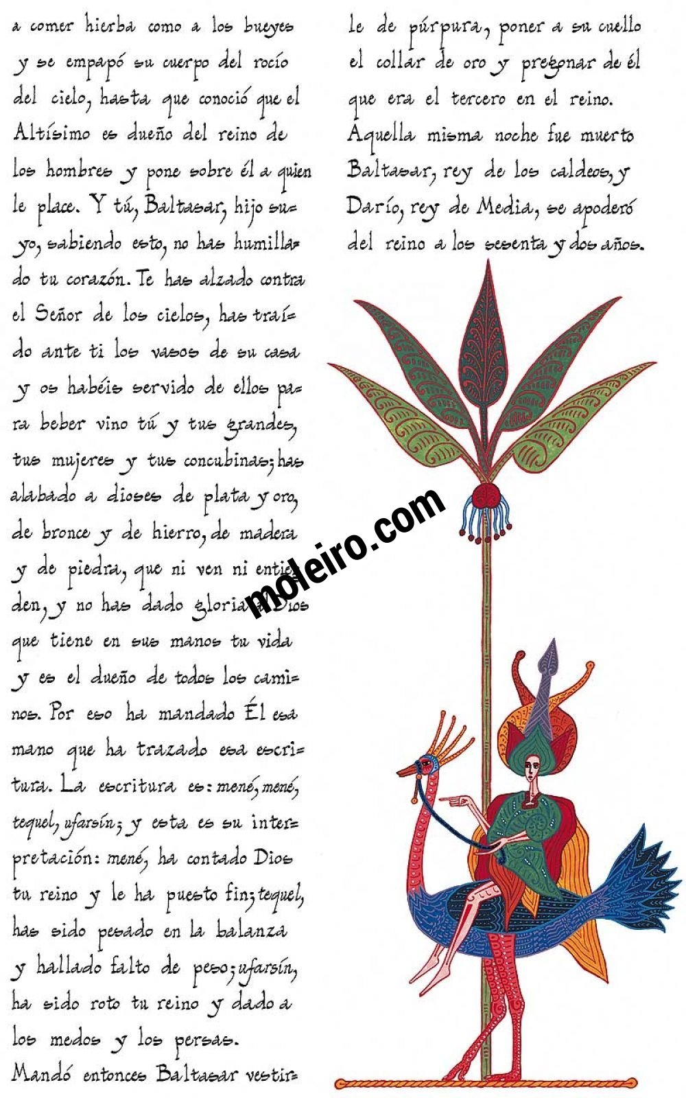Livre de Daniel – Edition de luxe (rouge) 